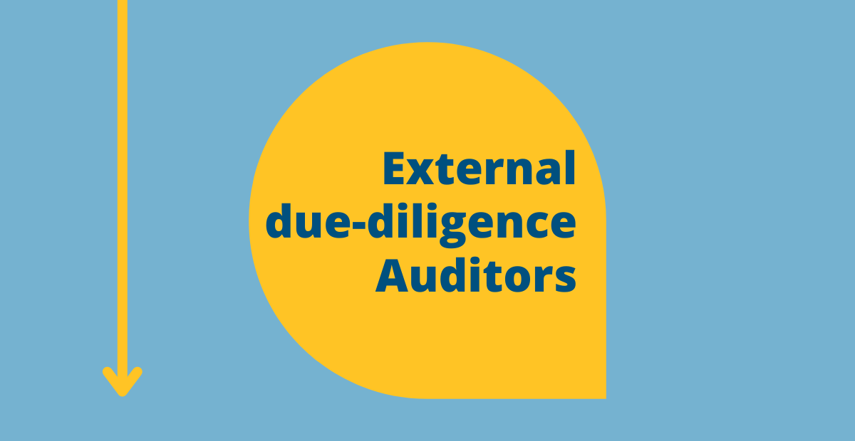 External due-diligence Auditors
